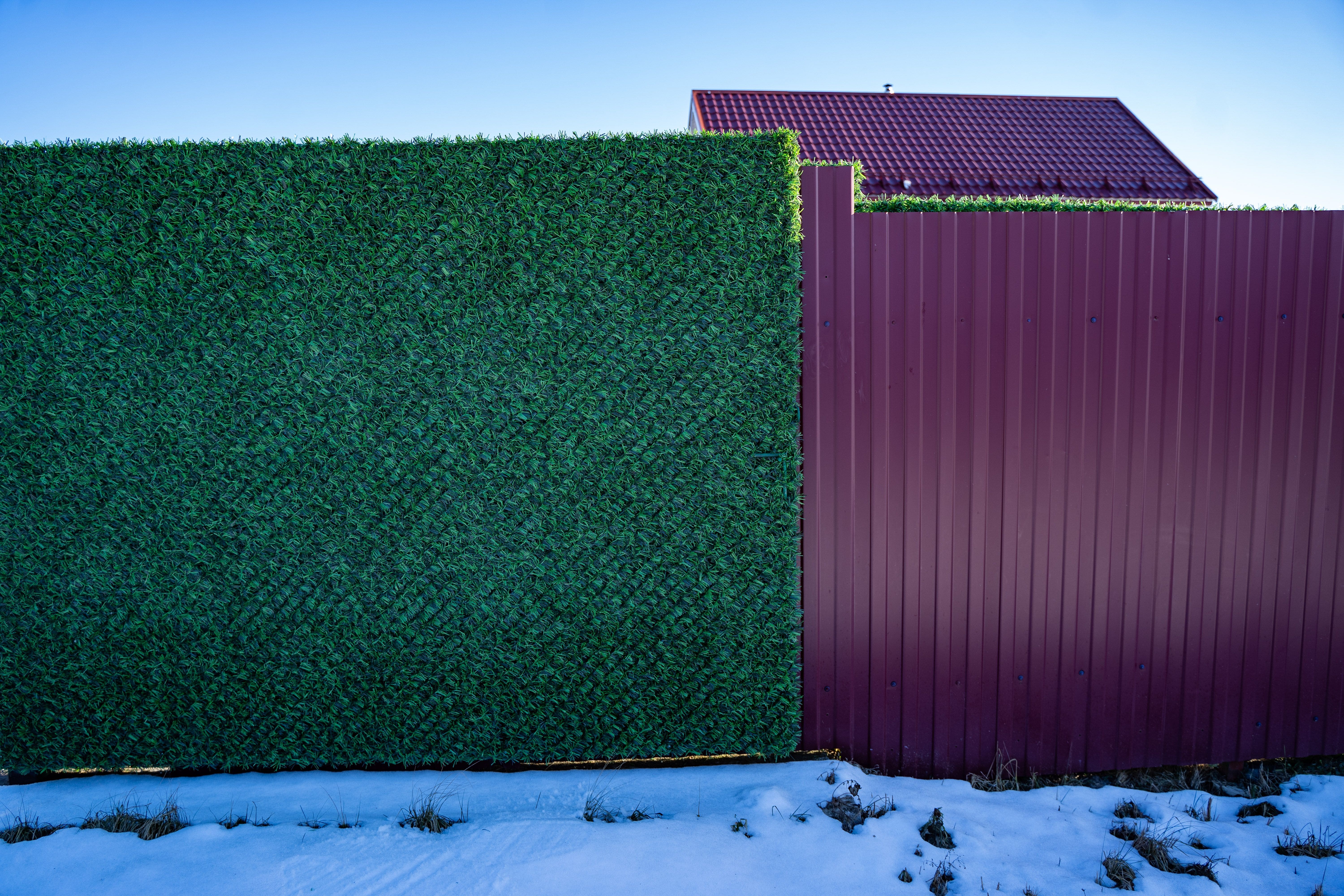 Вечнозеленый забор Grass Fence рулон 2м фото 2 в Кургане
