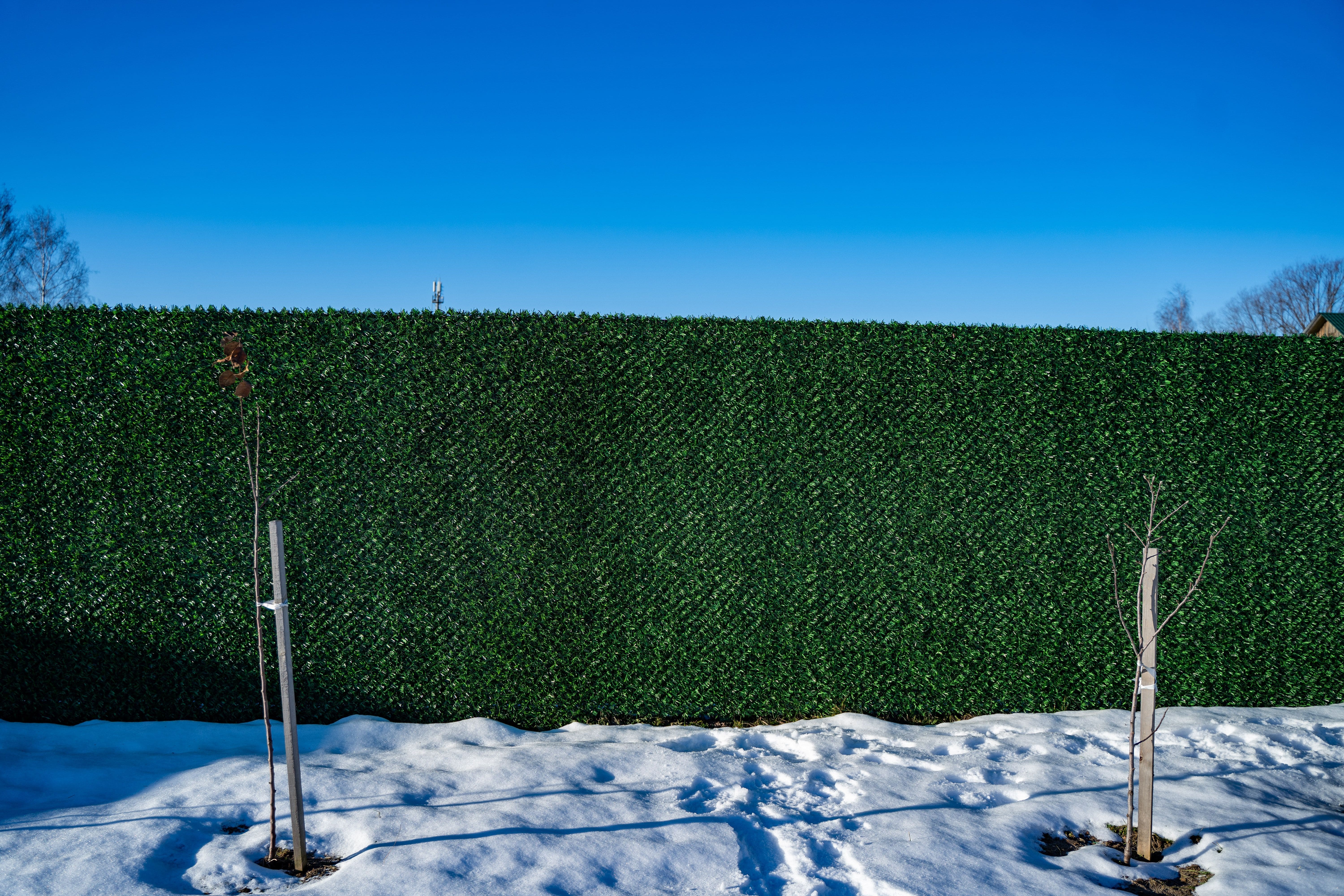 Вечнозеленый забор Grass Fence рулон 2м фото 8 в Кургане